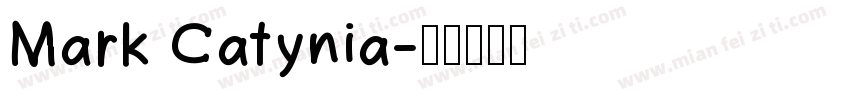 Mark Catynia字体转换